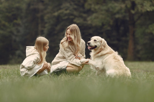 10 Ways to Keep Your Dog Healthier, Happier, and By Your Side for Longer