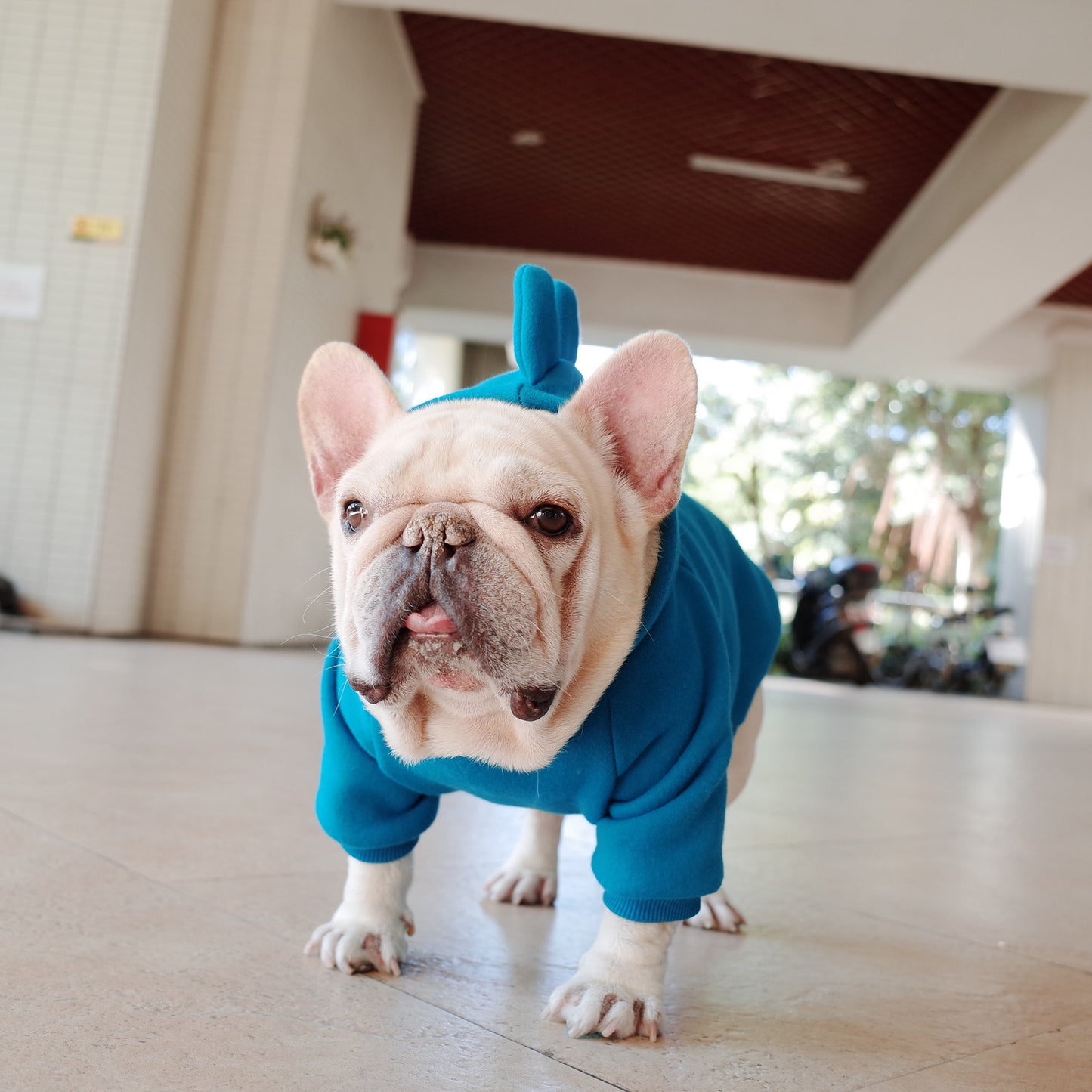 Pet Apparel Solid Color Hoodie
