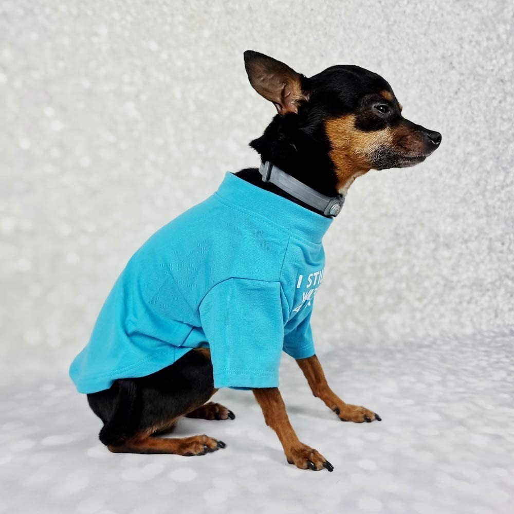 Pet Dog T-shirt