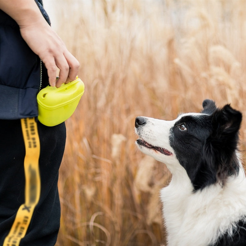 Pet Portable Dog Training Waist Bag Treat Snack