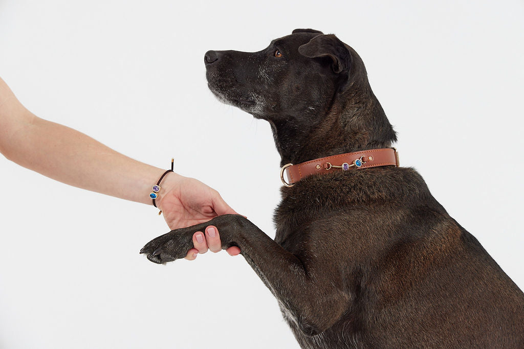 CharmedPaws Adjustable Stainless Steel Bracelet with 2 Pieces of Charm Stoppers