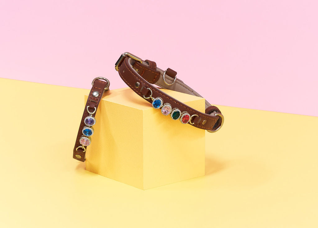 Collar and Charm Bundle – Personalised Style for Your Pet
