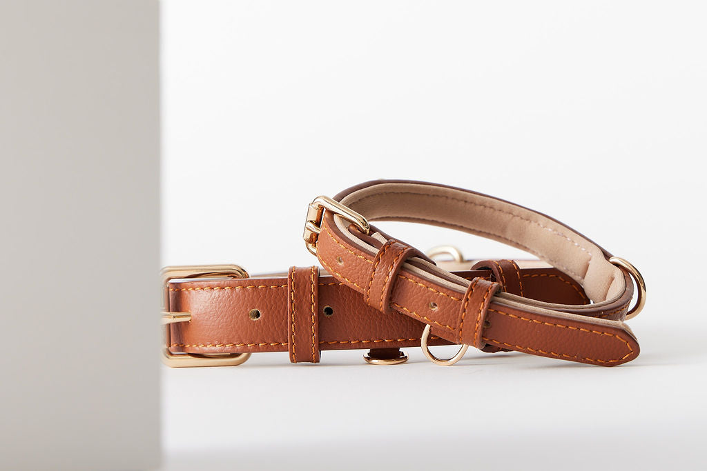 Personalized Pet Collar