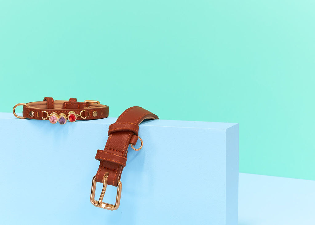 Collar and Charm Bundle – Personalised Style for Your Pet