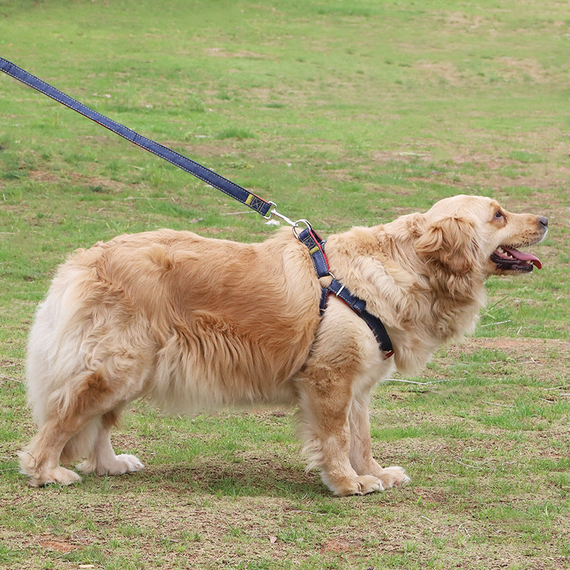 Personalized leash for pets
