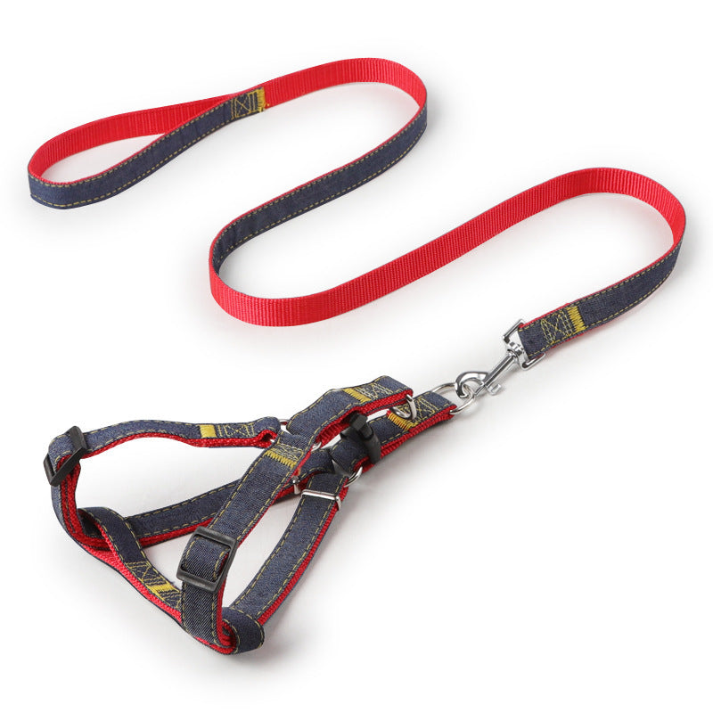 Personalized leash for pets