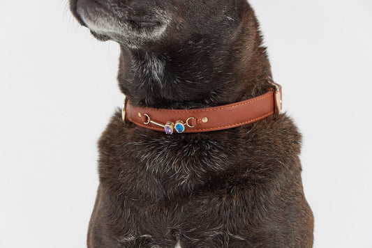 The Secret to Pet Neckwear That’s Stylish, Safe, and Full of Story