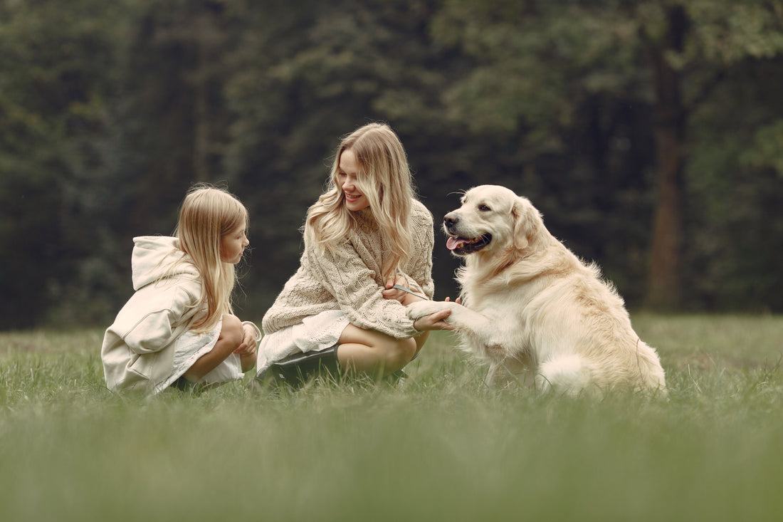10 Ways to Keep Your Dog Healthier, Happier, and By Your Side for Longer