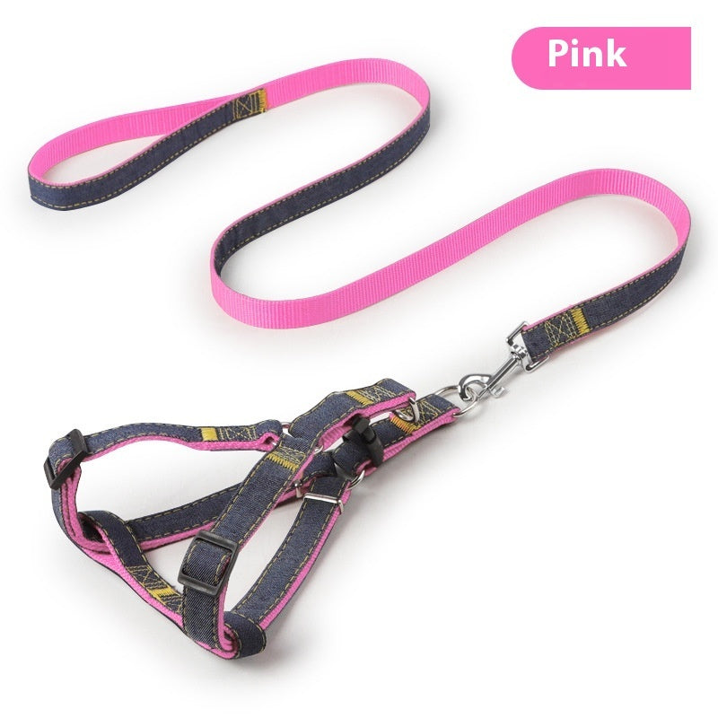 Personalized leash for pets