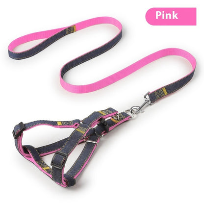 Personalized leash for pets