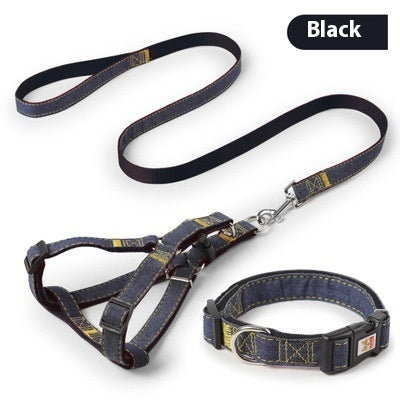 Personalized leash for pets