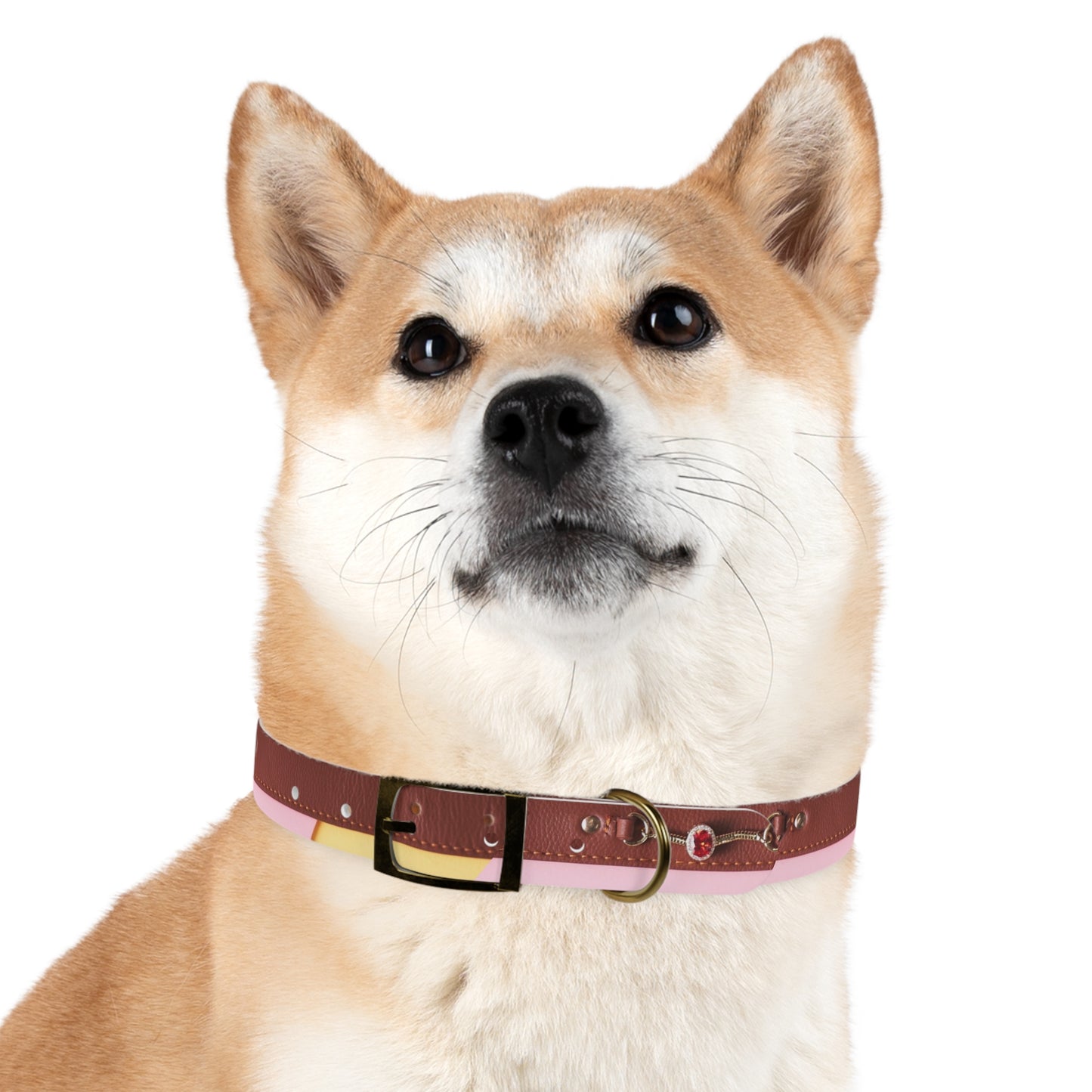 Stylish Dog Collar - Durable and Adjustable Pet Accessory for Everyday Use