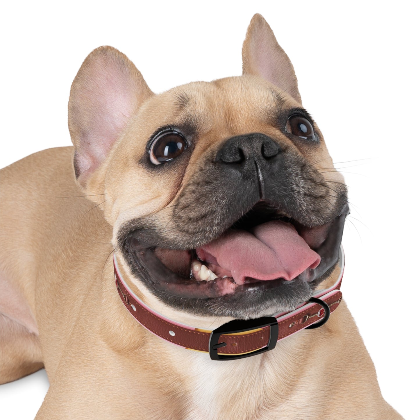 Stylish Dog Collar - Durable and Adjustable Pet Accessory for Everyday Use