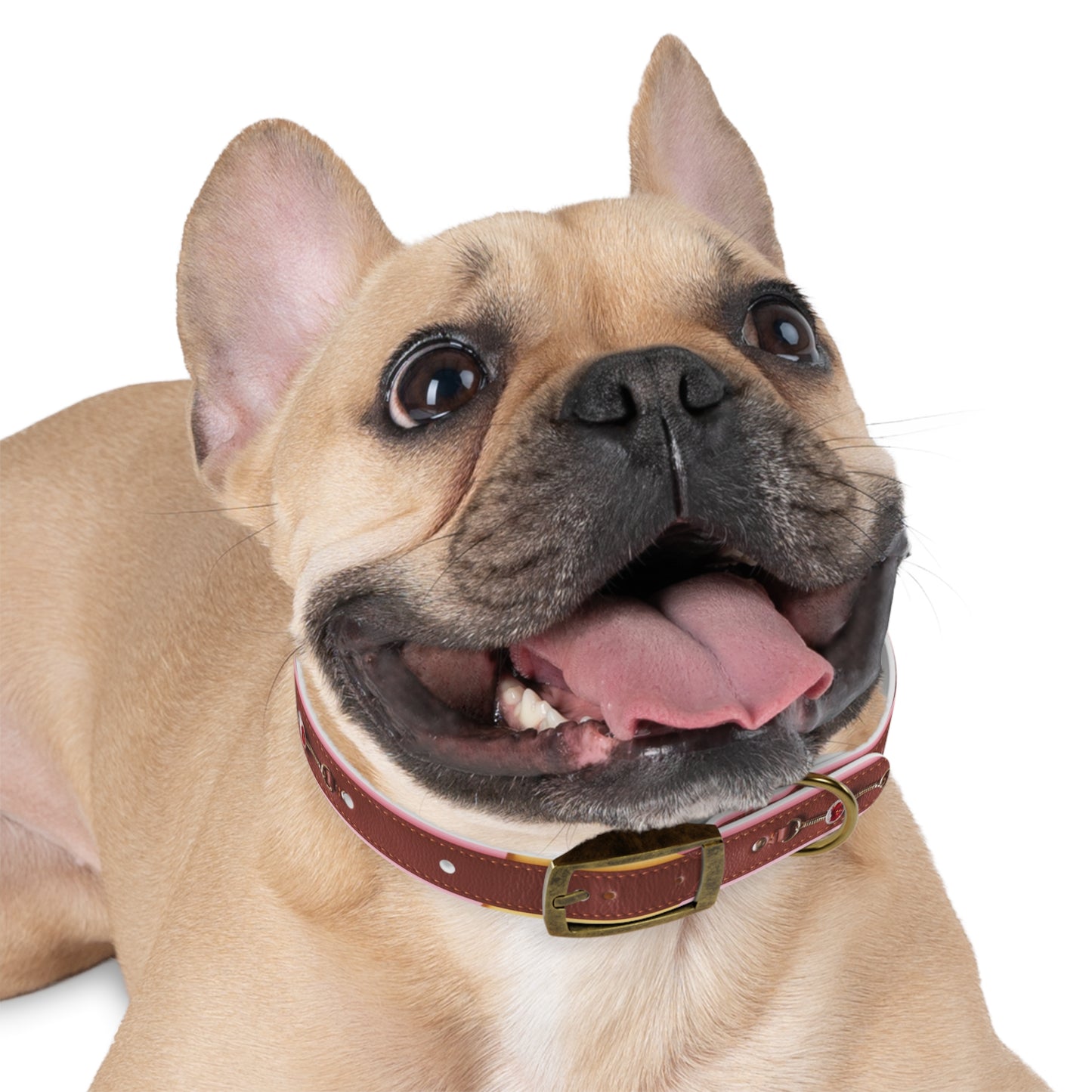 Stylish Dog Collar - Durable and Adjustable Pet Accessory for Everyday Use