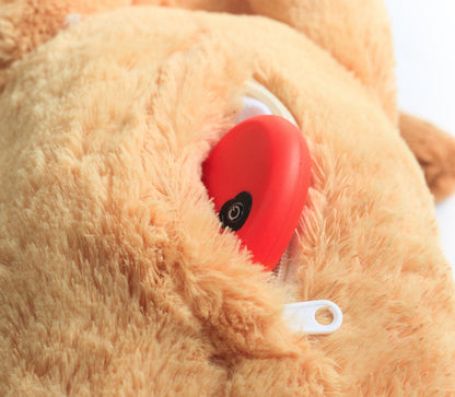 Heartbeat Box pet Toy
