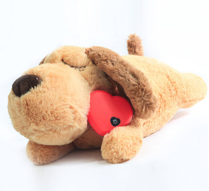 Heartbeat Box pet Toy