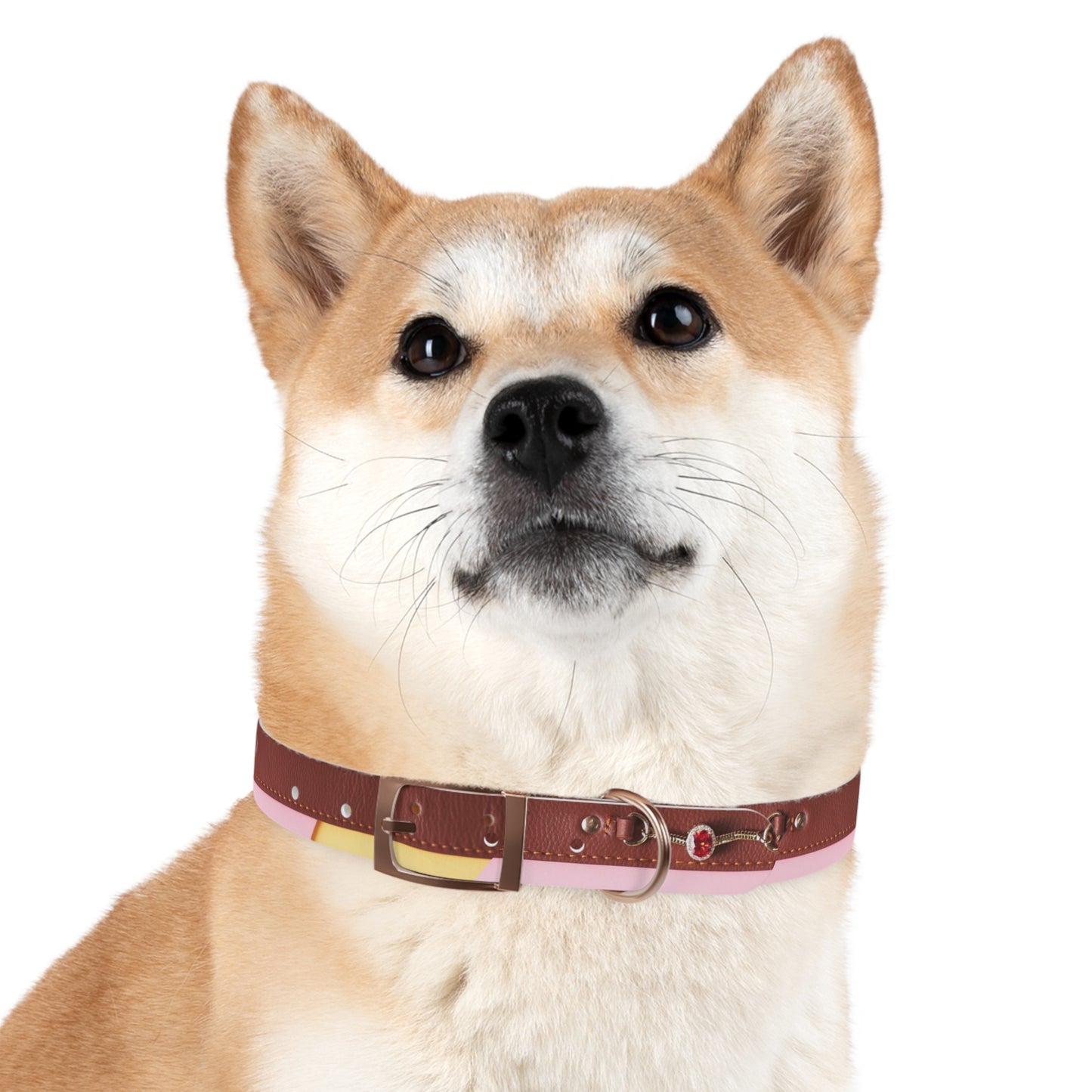 Stylish Dog Collar - Durable and Adjustable Pet Accessory for Everyday Use