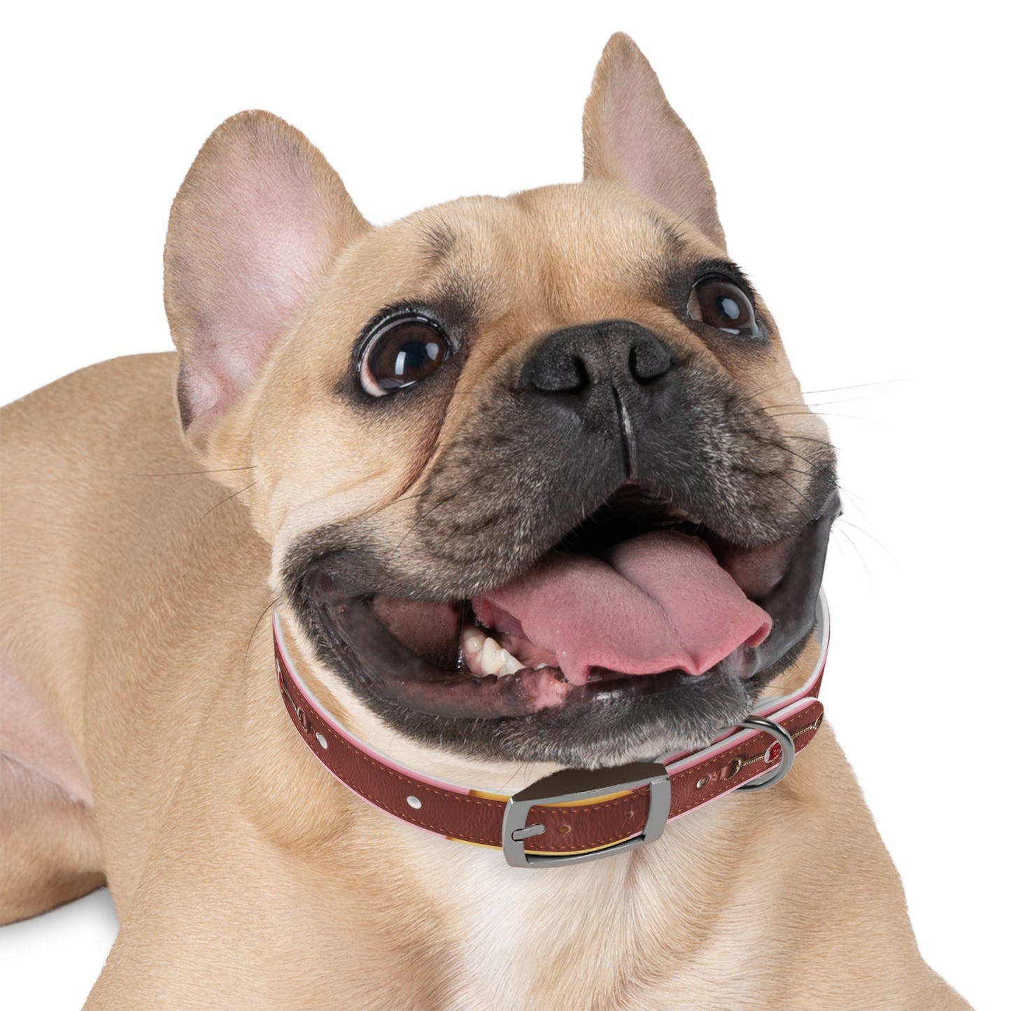 Stylish Dog Collar - Durable and Adjustable Pet Accessory for Everyday Use
