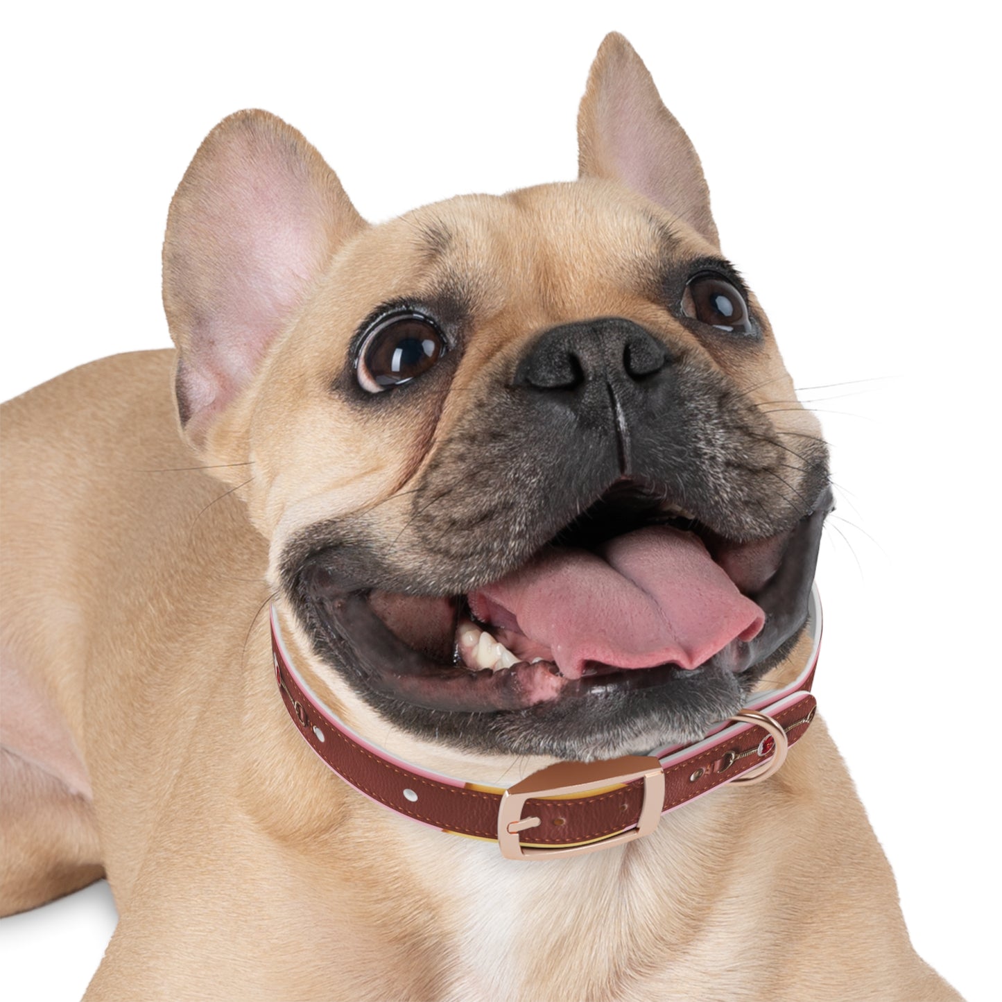 Stylish Dog Collar - Durable and Adjustable Pet Accessory for Everyday Use