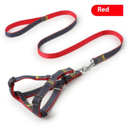 Personalized leash for pets
