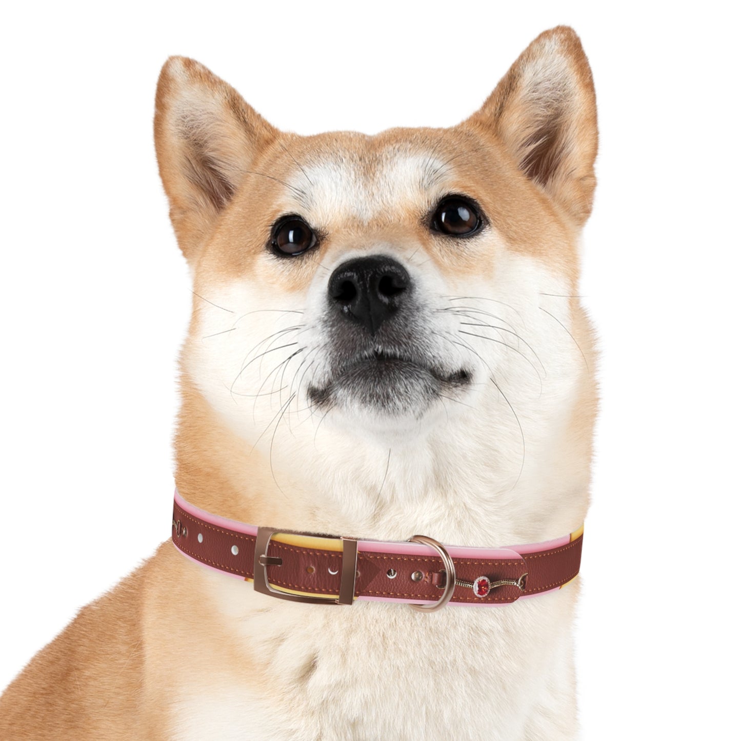 Stylish Dog Collar - Durable and Adjustable Pet Accessory for Everyday Use