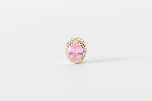 CharmedPaws Eternal Bond Collection – Playful Blossom (Pink) - 925 Sterling Silver 14K Gold-Plated Charm Clips (collar)
