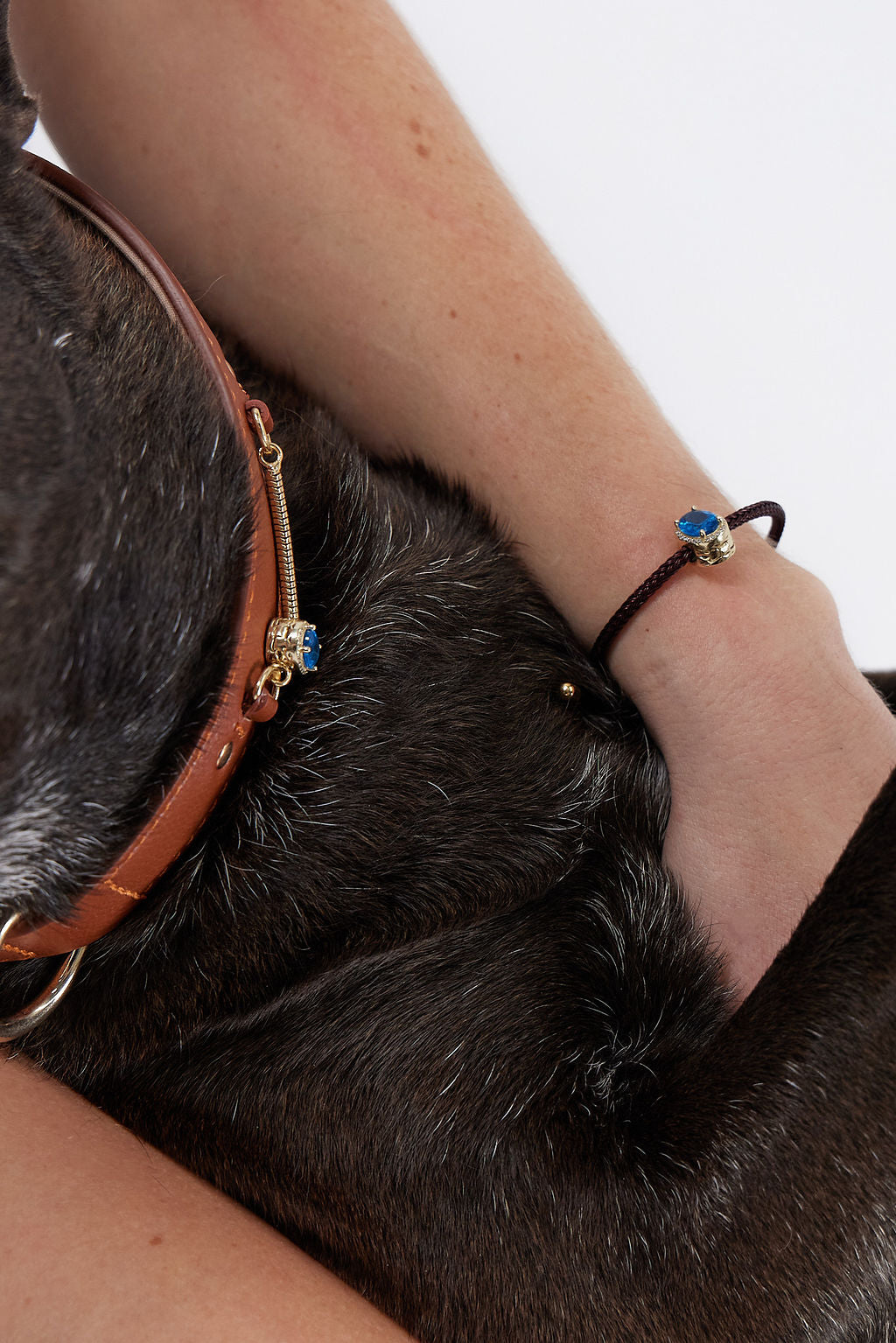 Personalized Pet Collar