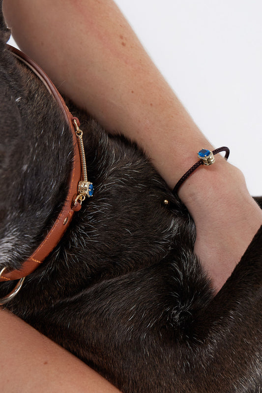Personalized Pet Collar