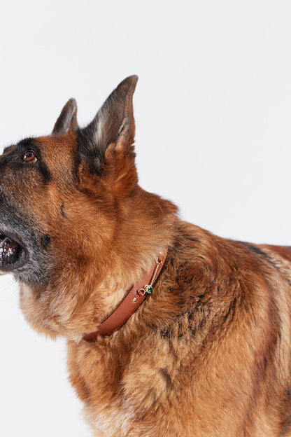 Charmed Paws Signature Collar with Charm
