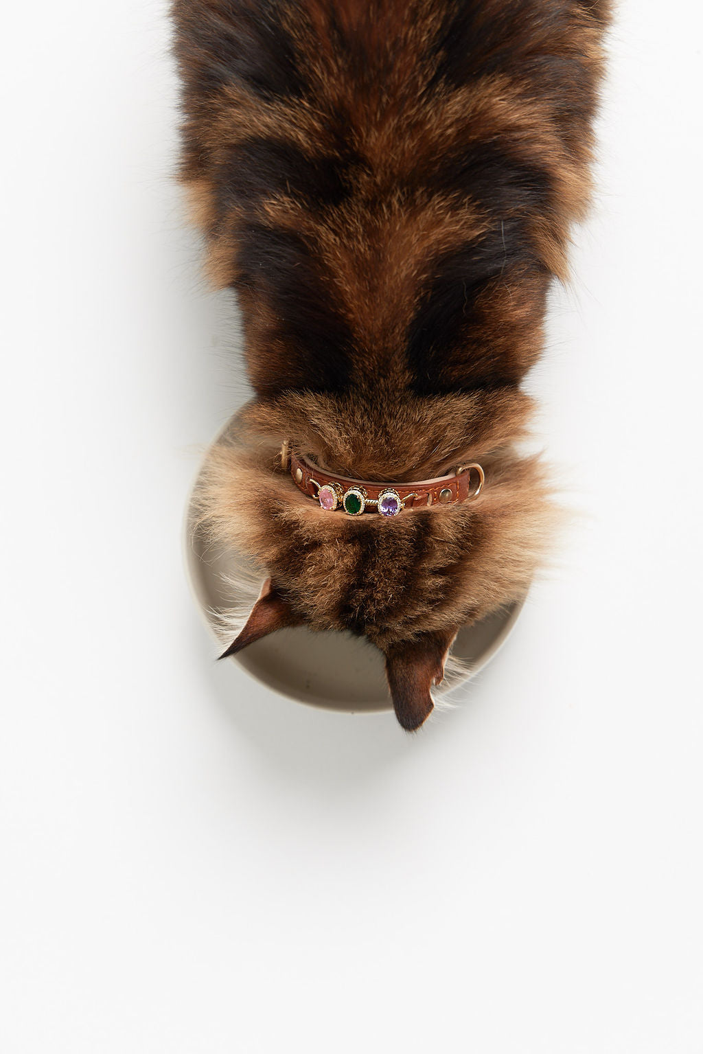 CharmedPaws Eternal Bond Collection – Fearless Explorer (Green) - 925 Sterling Silver 14K Gold-Plated Charm Clips (collar)