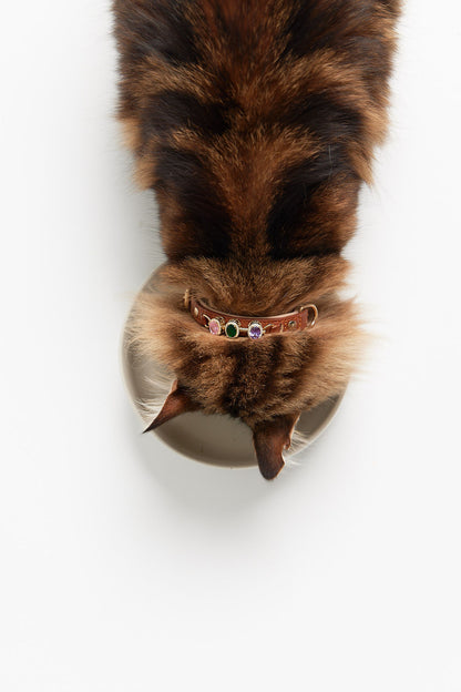 CharmedPaws Eternal Bond Collection – Fearless Explorer (Green) - 925 Sterling Silver 14K Gold-Plated Charm Clips (collar)