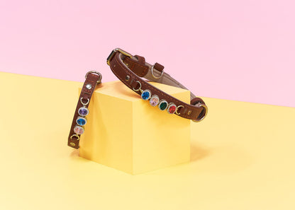 Collar and Charm Bundle – Personalised Style for Your Pet