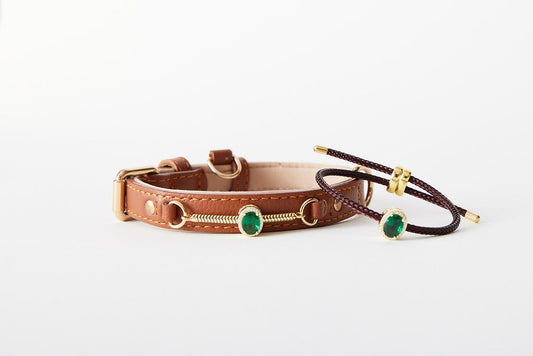 Matching Brown Collar and Bracelet Bundle