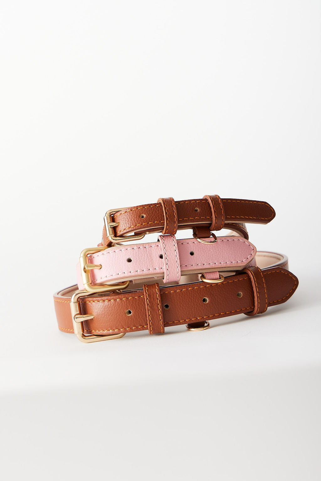 Charmed Paws Signature Collar with Charm