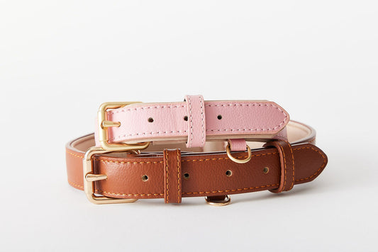 Collar and Charm Bundle – Personalised Style for Your Pet