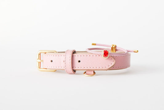 CharmedPaws Matching Pink Collar and Bracelet Bundle