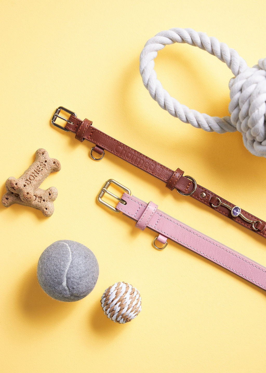 Collar and Charm Bundle – Personalised Style for Your Pet