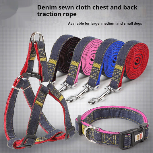 Personalized leash for pets