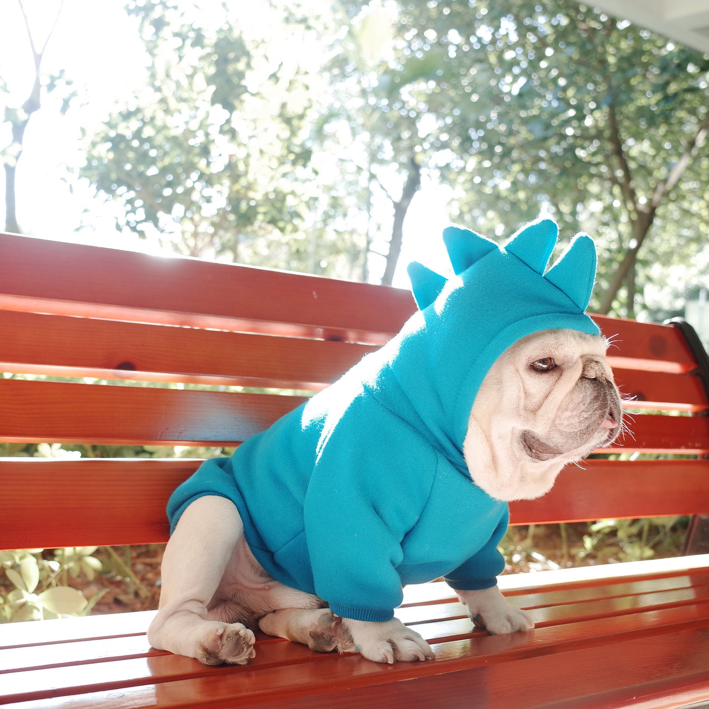 Pet Apparel  Solid Color Hoodie