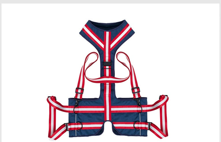 Custom Pet Harness